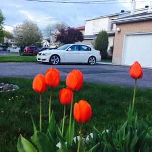 Meet your Posher, Ella